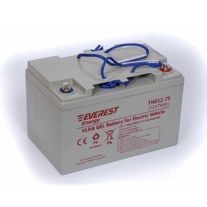 Everest Energy TNE-12-75 / 6-EVF-60 аккумулятор