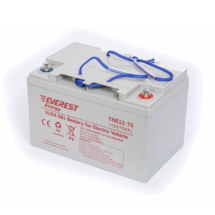 Everest Energy TNE-12-75 / 6-EVF-60 аккумулятор фото 2
