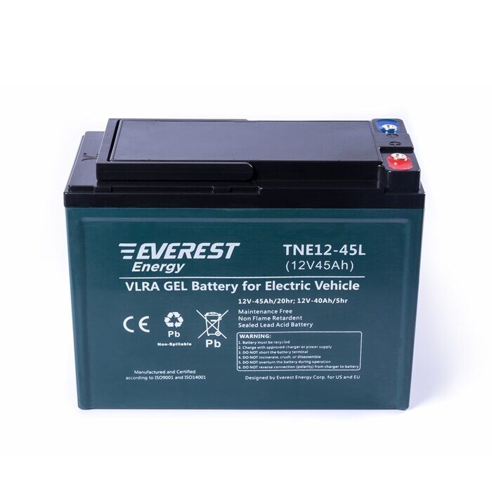 Everest Energy TNE12-45L / 6-EVF-38 аккумулятор