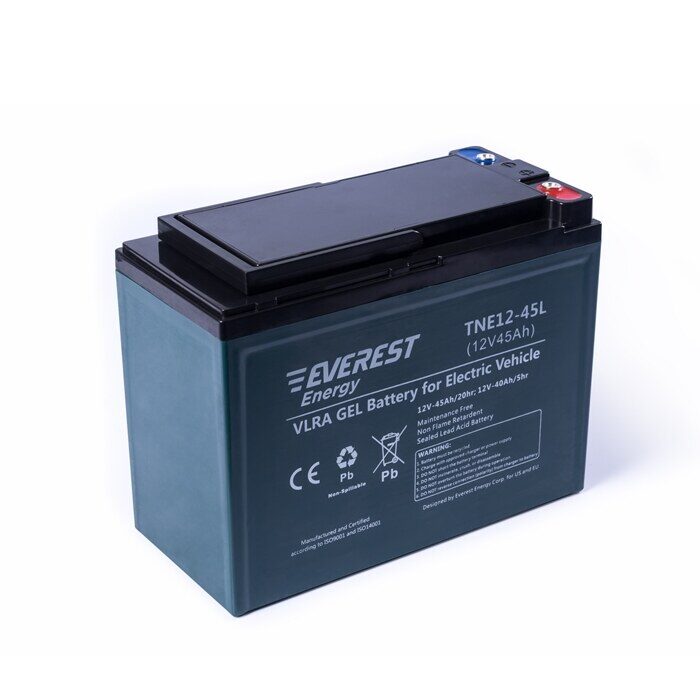 Everest Energy TNE12-45L / 6-EVF-38 аккумулятор фото 2