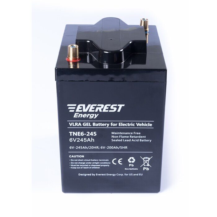 Everest Energy TNE6-245 6V 200Ah C5 аккумулятор