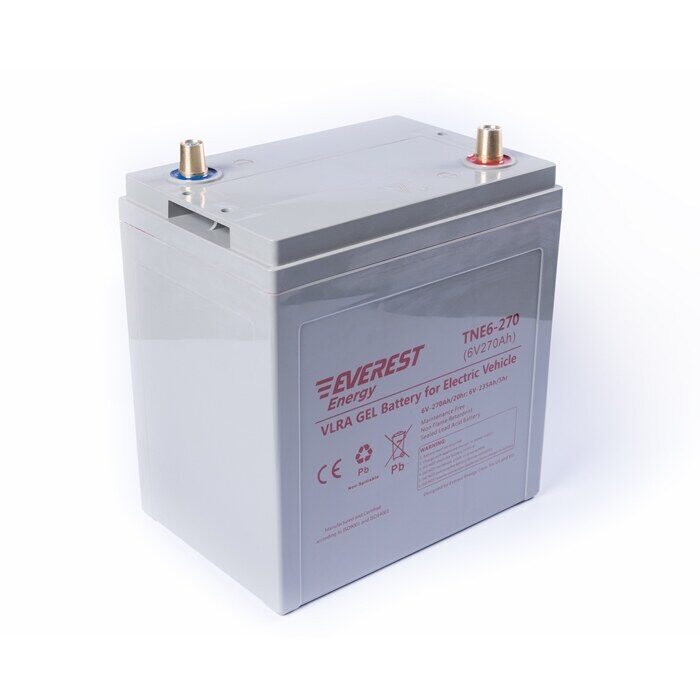 Everest Energy TNE6-270 6V 235Ah C5 аккумулятор фото 3
